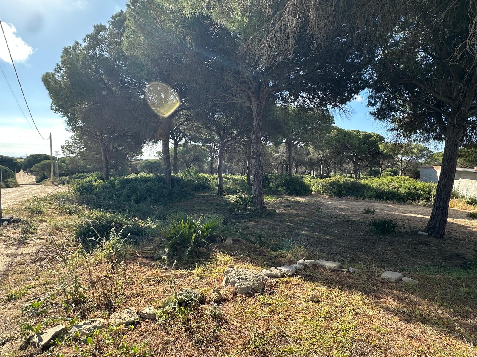Parcela rústica en Cerro de las Espartosas, Chiclana de la Frontera