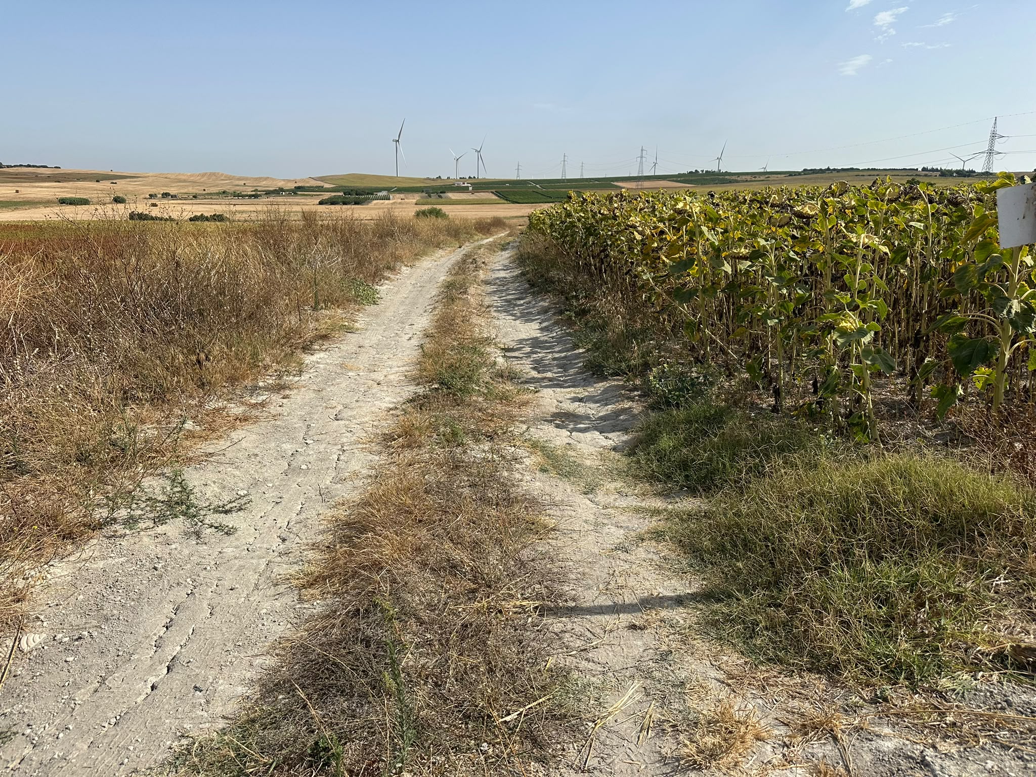 Parcela rústica en La Canaleta, Chiclana de la Frontera