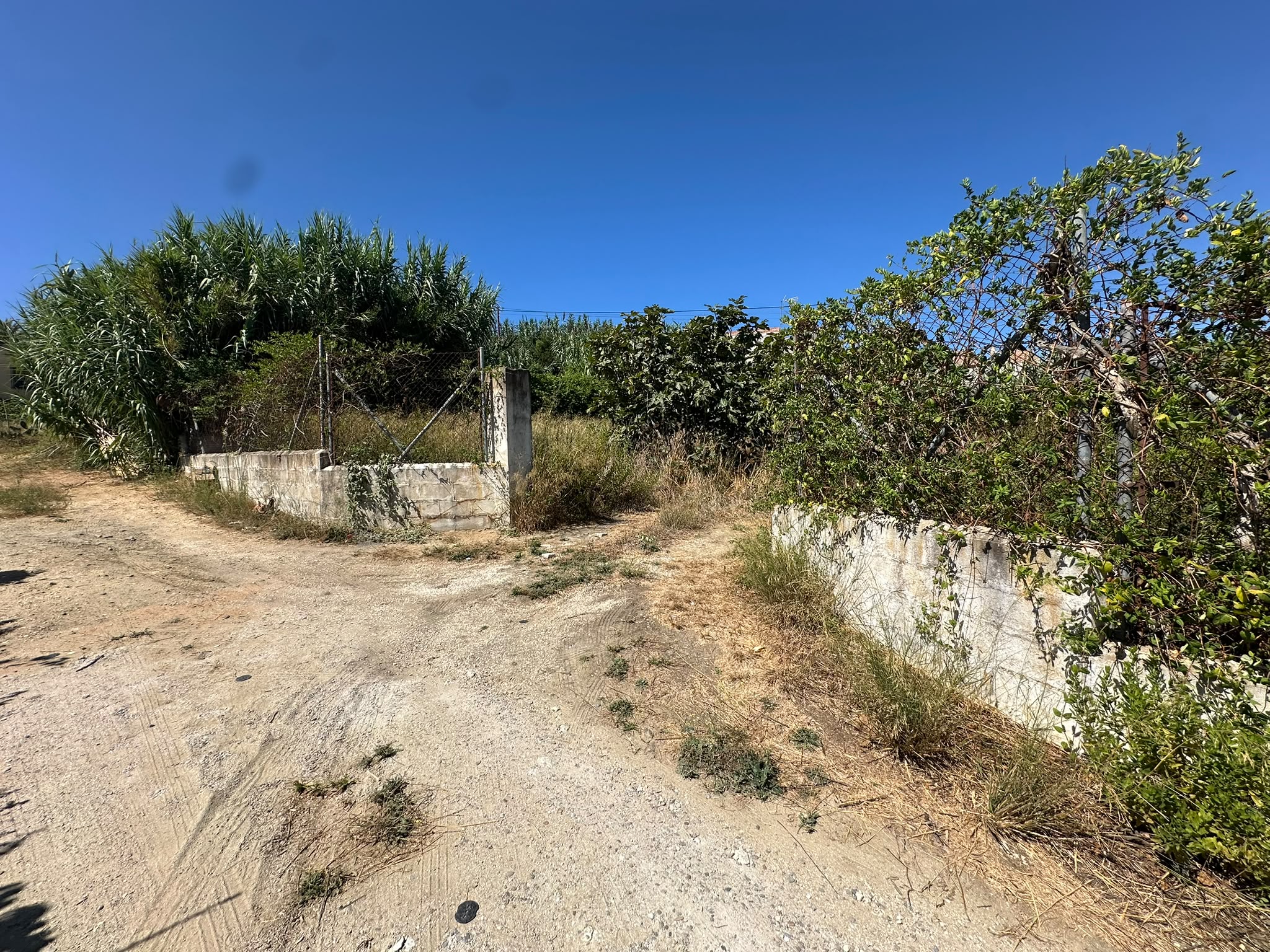 Parcela rústica cerrada de bloque en Polígono La Hoya, Chiclana de la Frontera